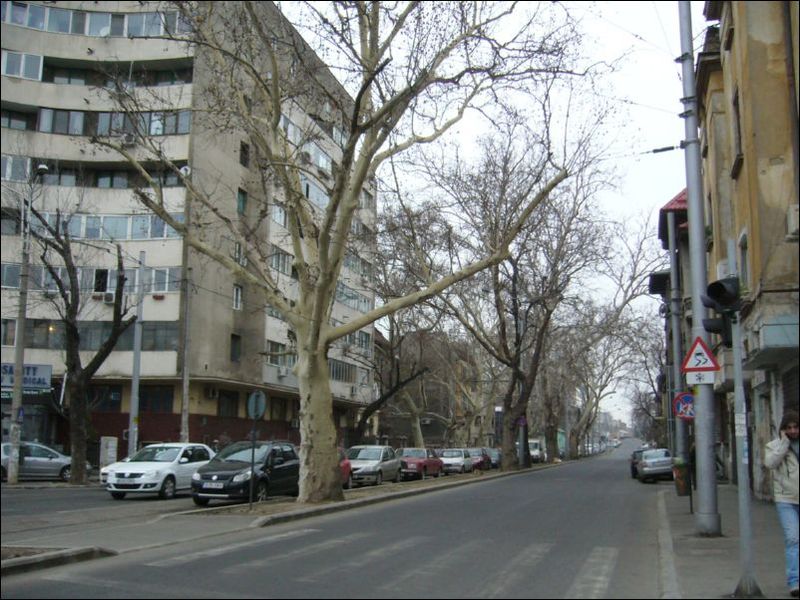 P1450476.jpg