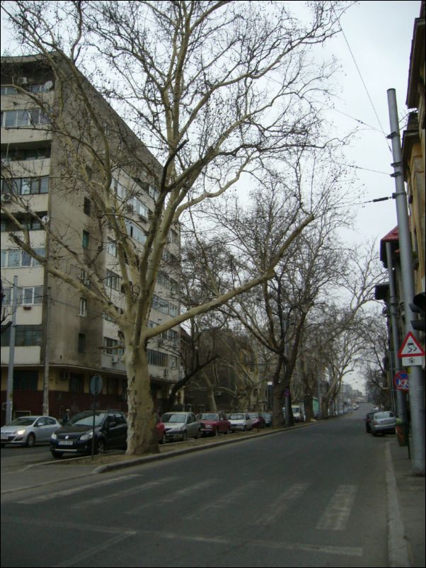 P1450477.jpg