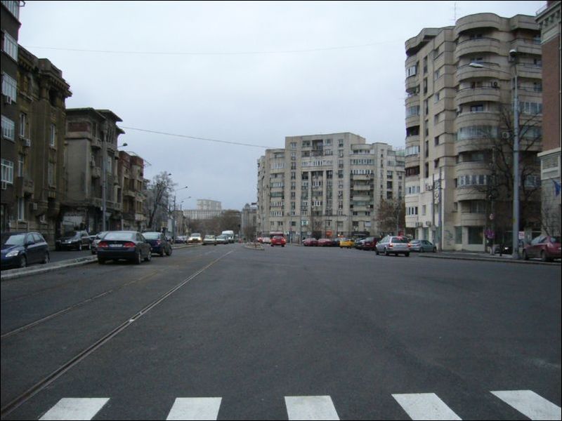 P1450566.jpg