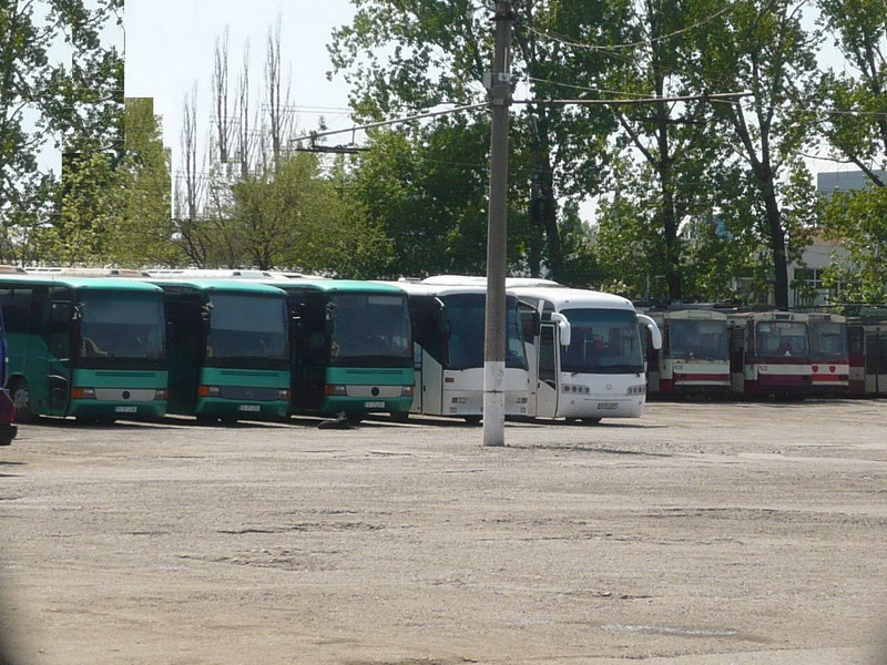 P1470612.jpg