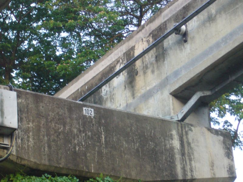P1490910.jpg