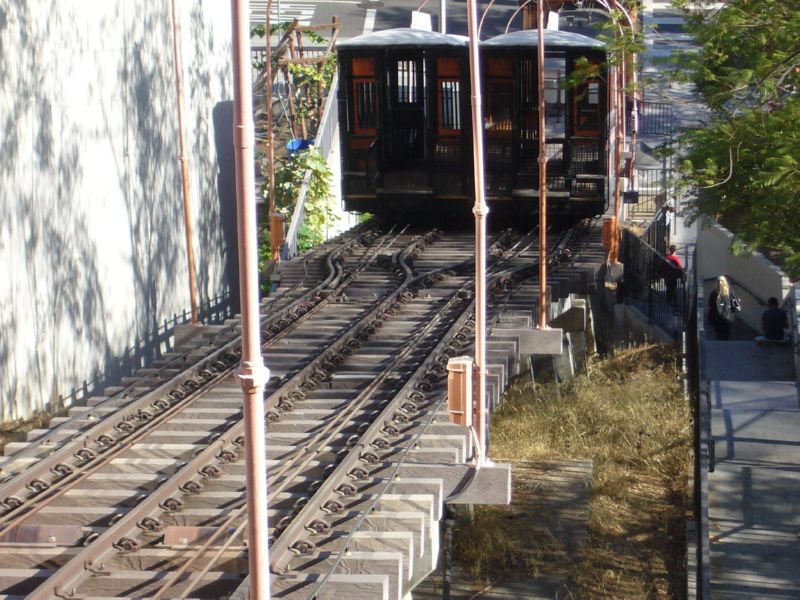 P1540942.jpg