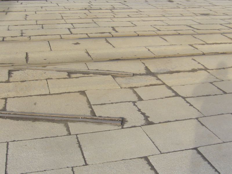 P1560442.jpg