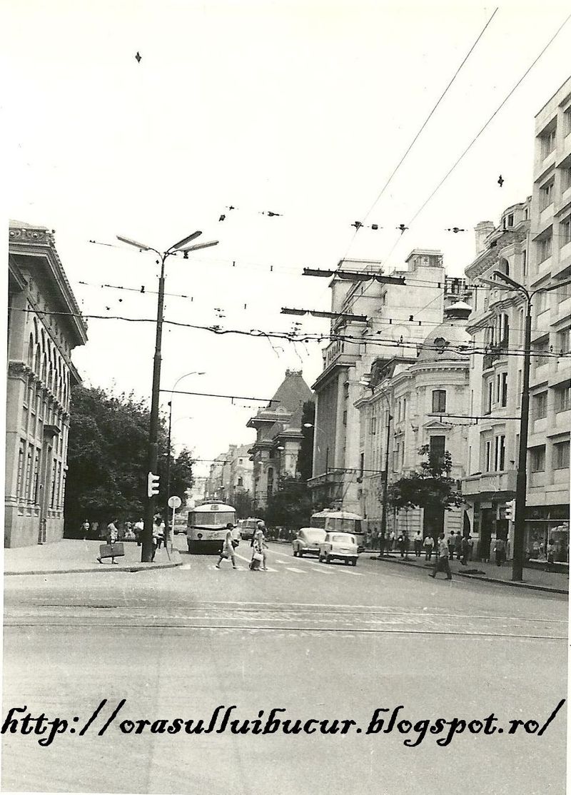 P1.jpg