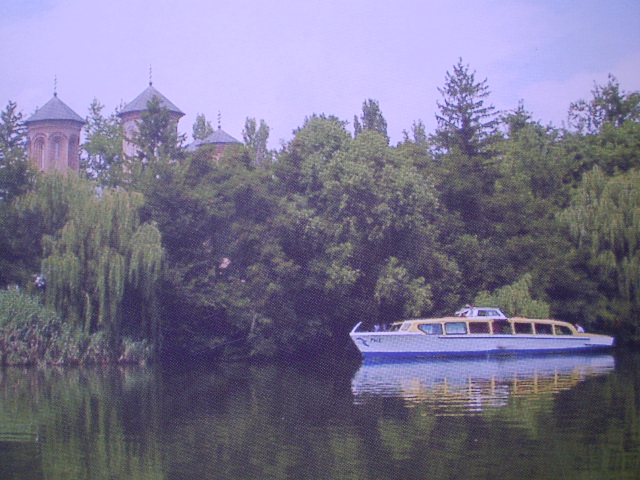 p6150057_628[1].jpg