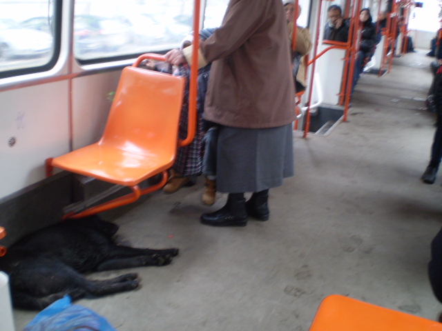 PC290002.JPG