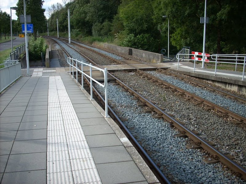 peron2.jpg