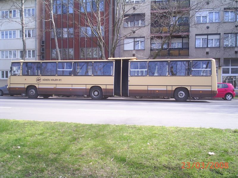 PIC_0008.jpg