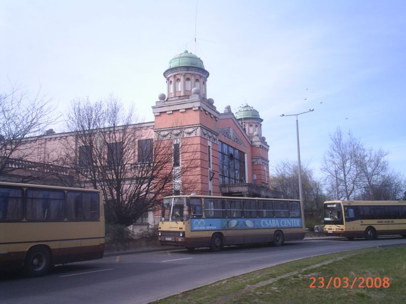 PIC_0026.jpg