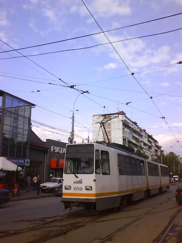 Picture 229.jpg