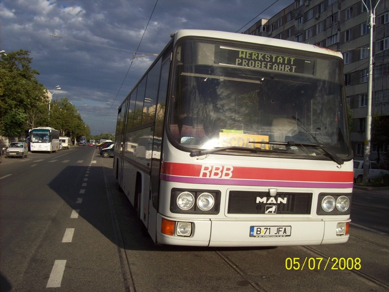 Picture 257.jpg