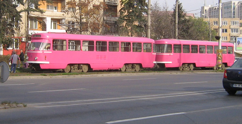 Picture 479.jpg
