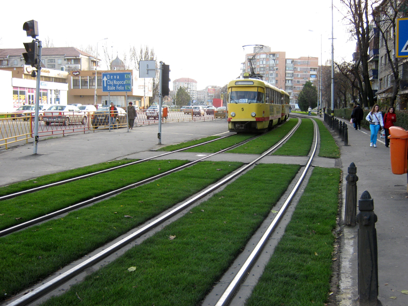 Picture 484-m.jpg