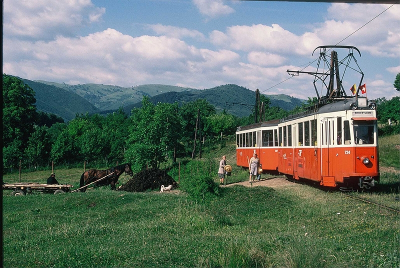 poza4.JPG