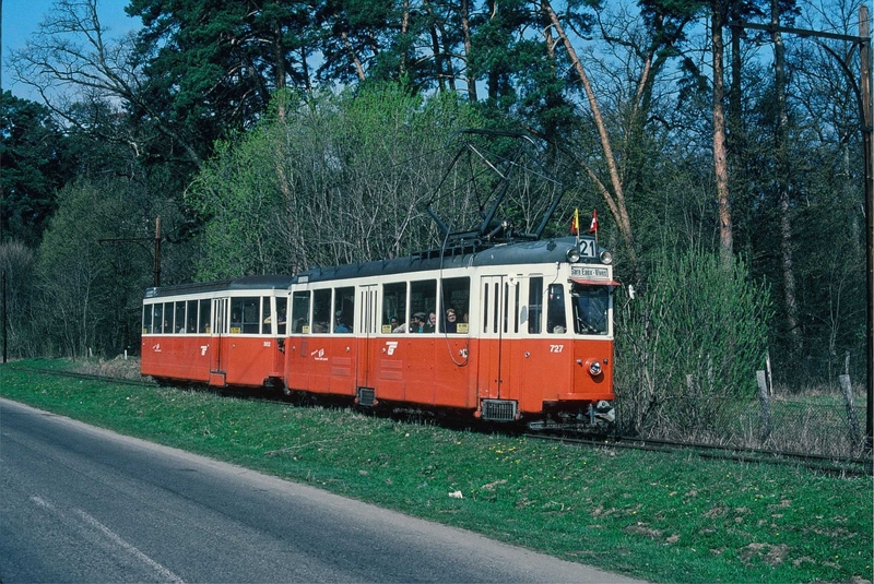 poza5.JPG