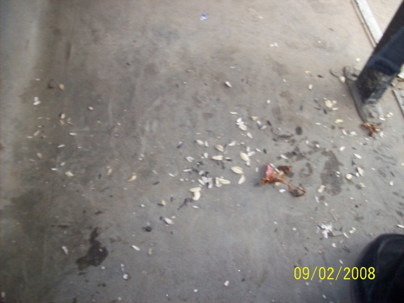 Poze 2008 167.jpg