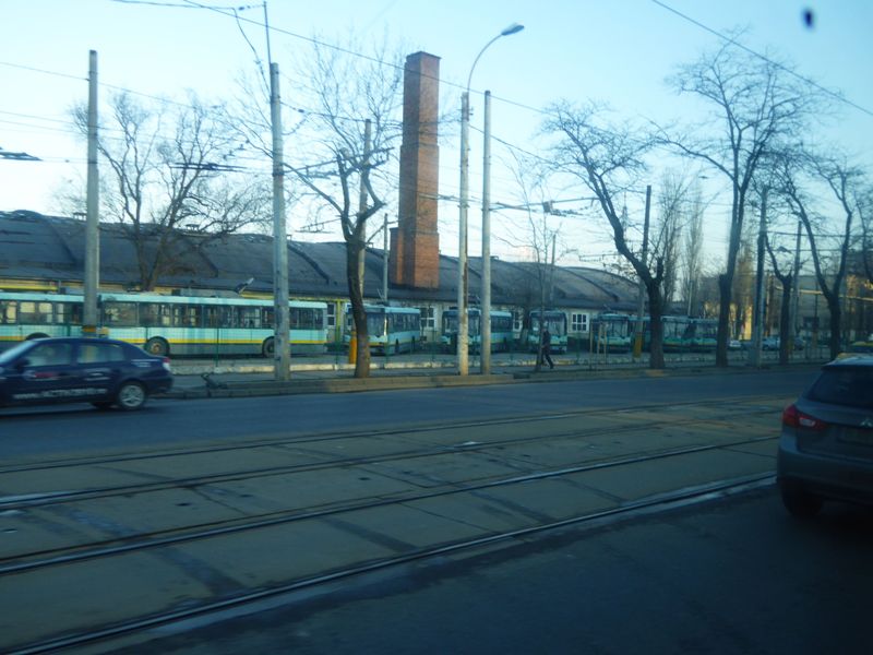 Poze, 3 februarie 023.jpg