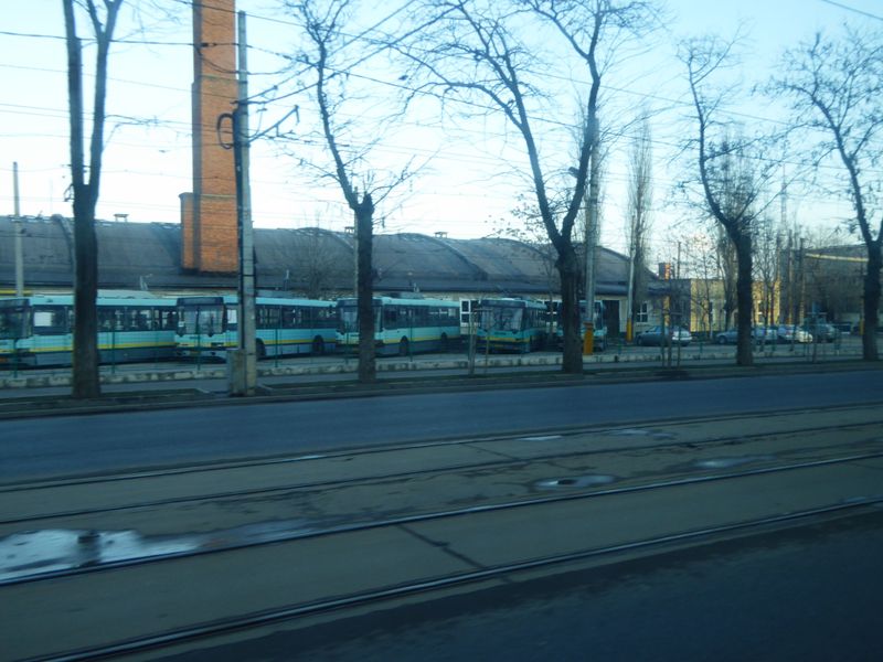 Poze, 3 februarie 025.jpg