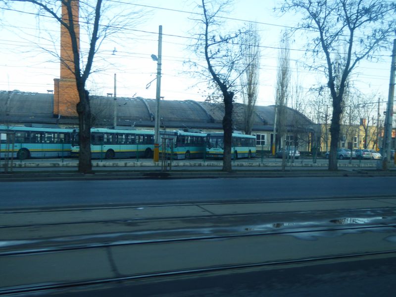 Poze, 3 februarie 026.jpg