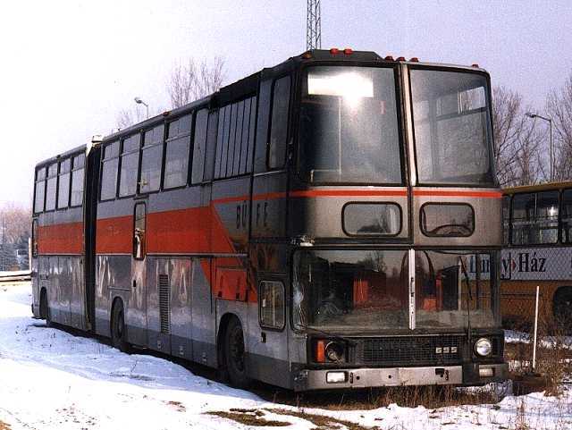 Rept-051.jpg