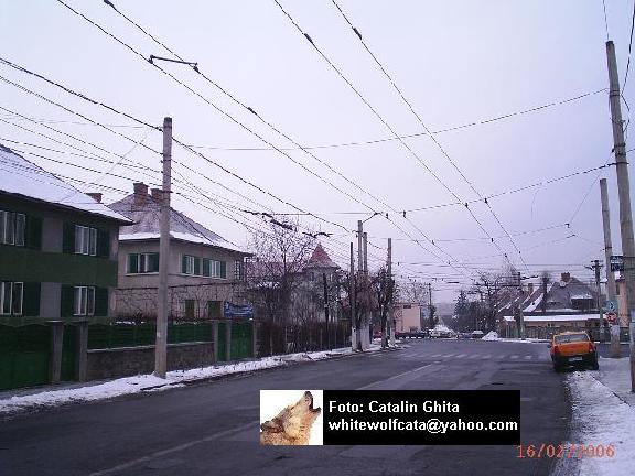 RETEA-0006.jpg