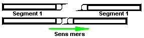 RF_1_192.jpg