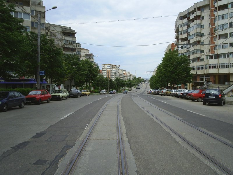 S4011196.JPG