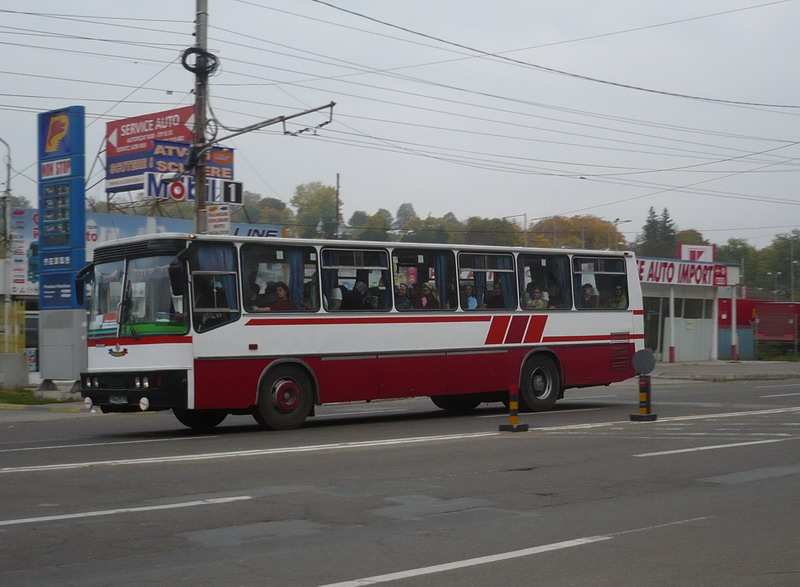 s VN 29 SYM 11.jpg