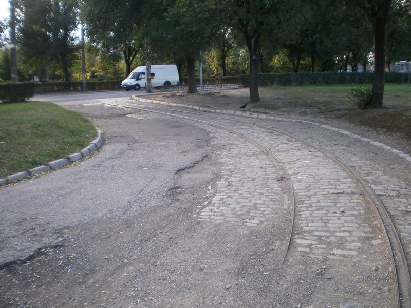 SANY0168.jpg