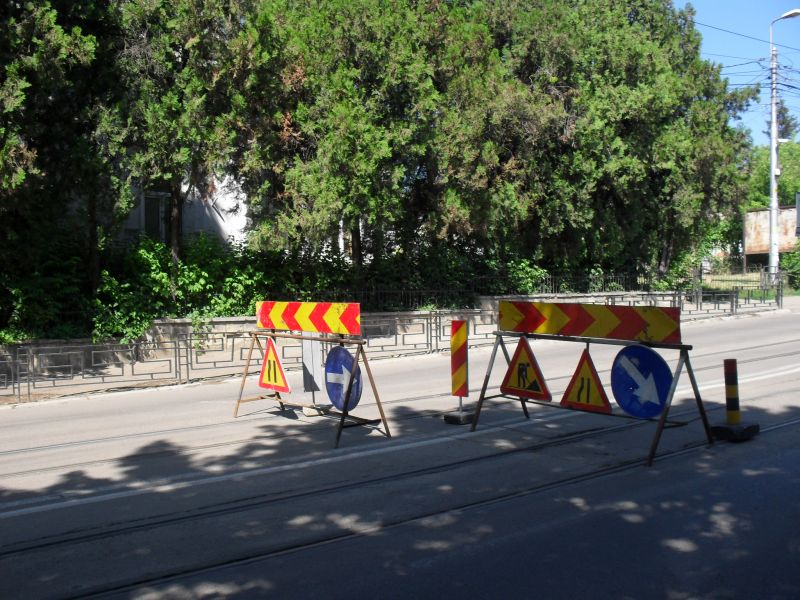 SDC11295.jpg