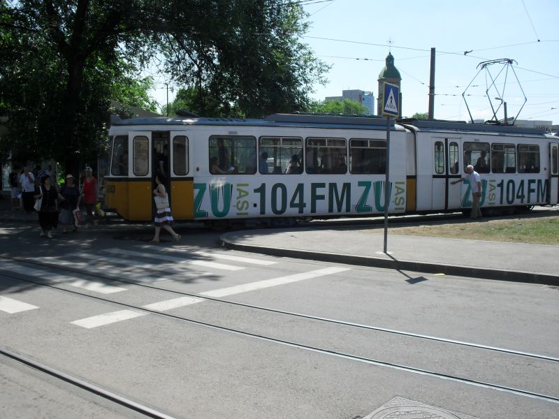 SDC11302.jpg