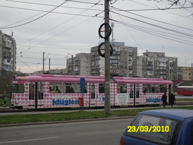 SDC12482.JPG