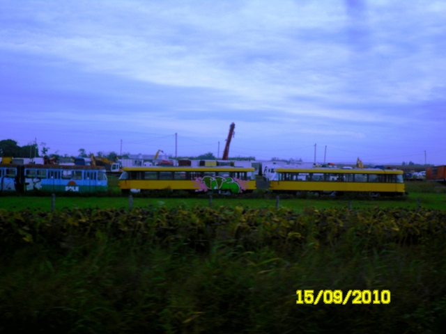 SDC16224.JPG