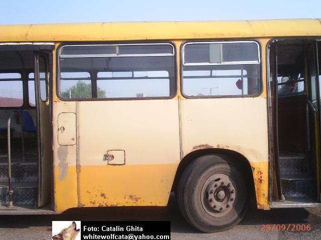 SM-32-BUS-33.jpg