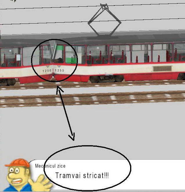 STRICAT.jpg