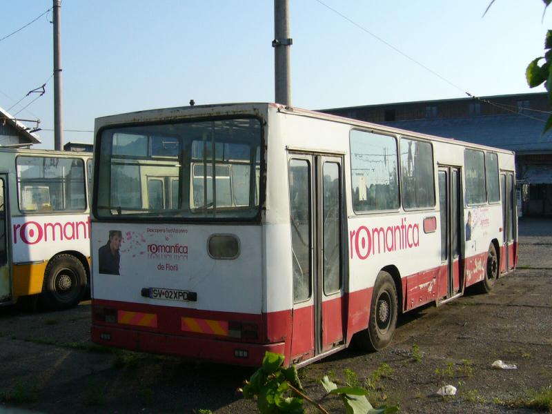 SV02XPD-29502.jpg