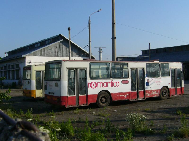 SV02XPD-29504.jpg
