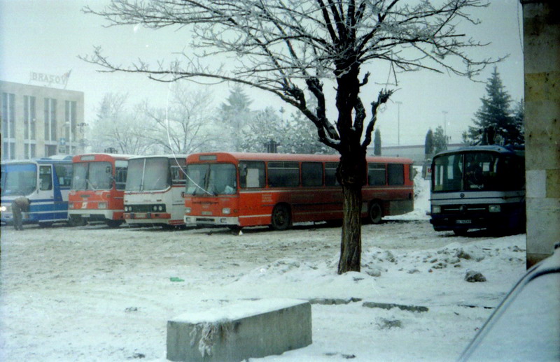 t5.jpg