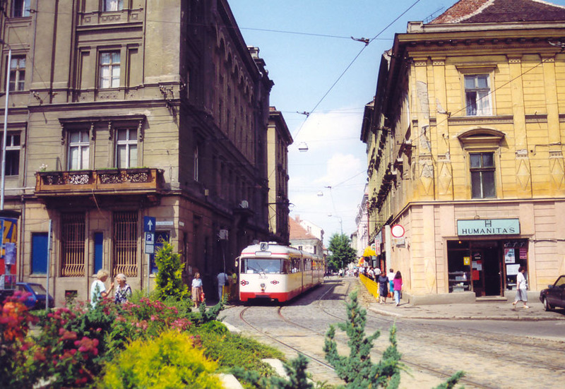 timis (7).jpg