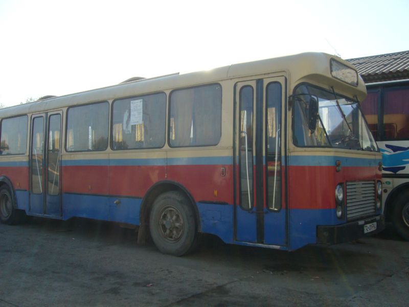 TL01FYJ-P1120372.jpg