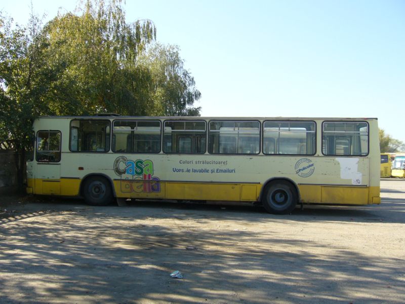 TL11RAT-P1120272.jpg