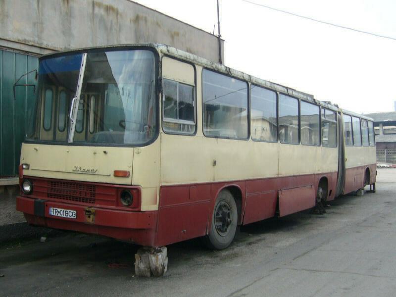 TR01BCG-P1020201.jpg