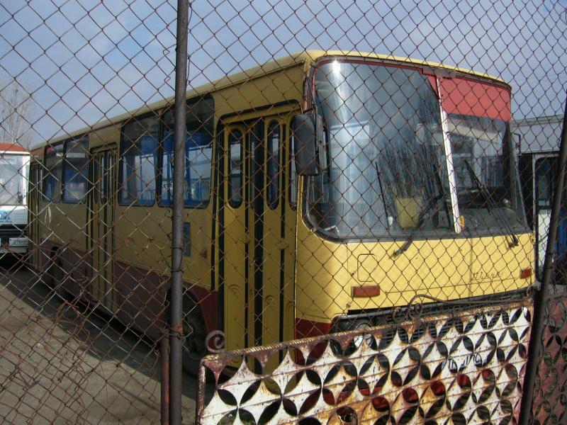 TR01BCI-P1020227.jpg