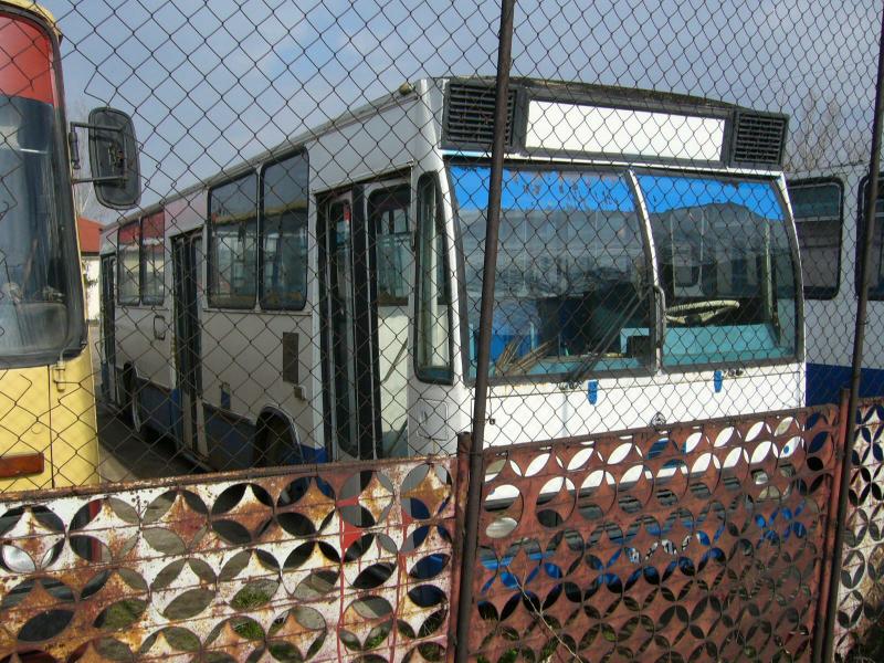 TR01KHX-P1020228.jpg