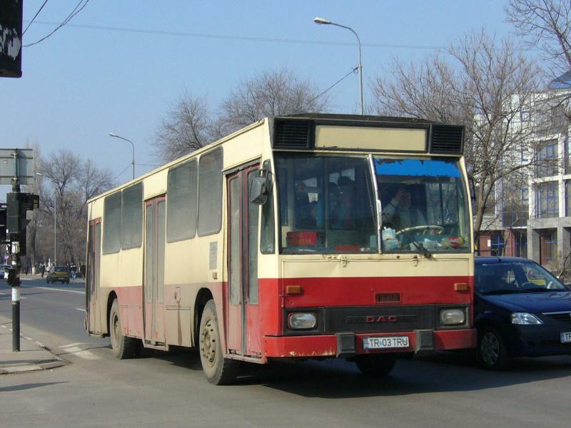TR03TRU-P1020289.jpg