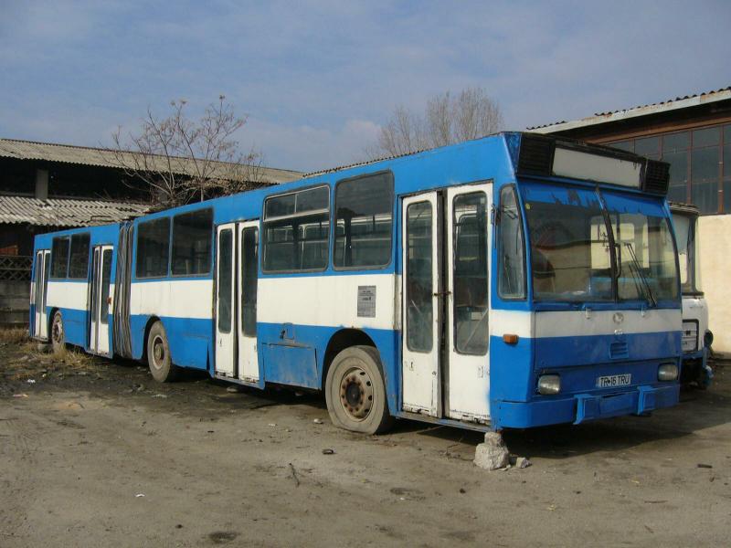 TR16TRU-P1020231.jpg