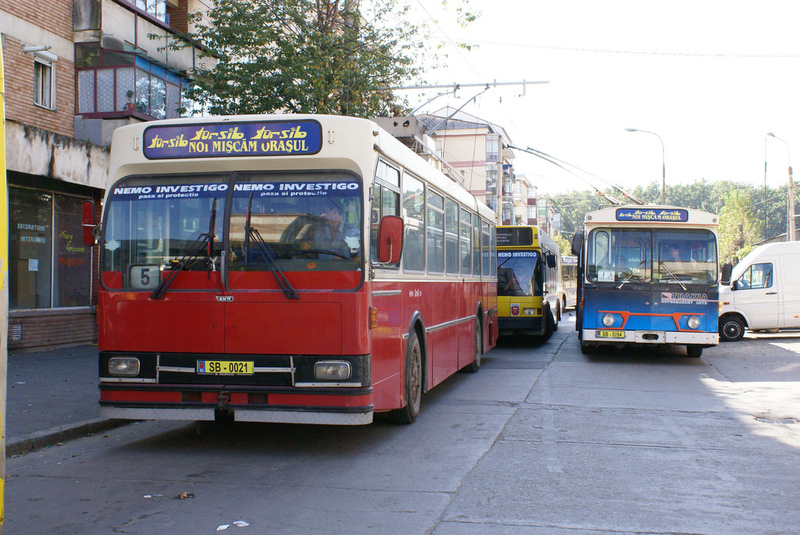 valea aurie 07.jpg